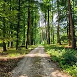 Seeliebe Am Brombachsee