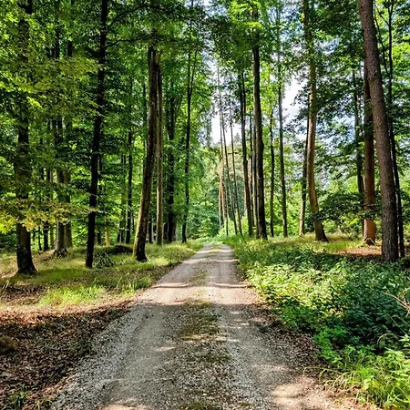 Seeliebe Am Brombachsee